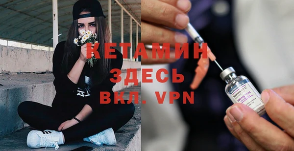 шишки Арсеньев
