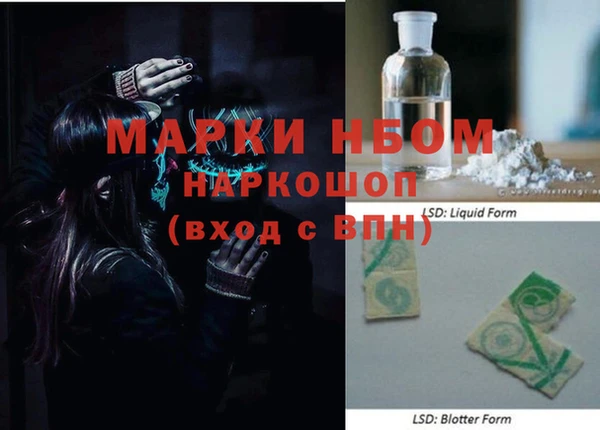 шишки Арсеньев
