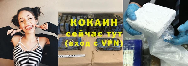 шишки Арсеньев