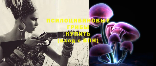 гидра Аркадак