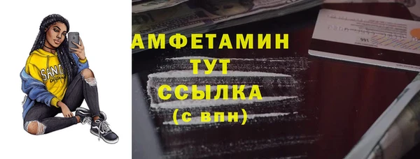 шишки Арсеньев