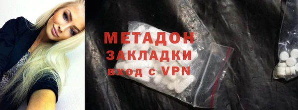 шишки Арсеньев