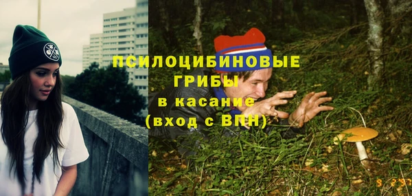 прущий лед Армянск