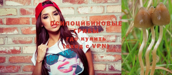 тгк Няндома