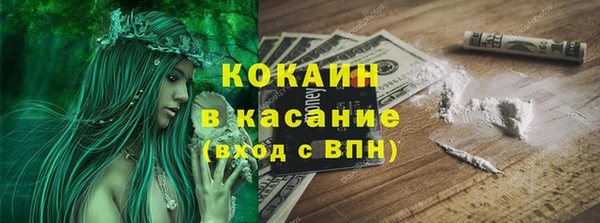 гидра Аркадак