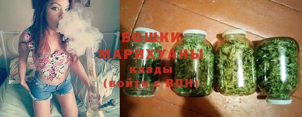 шишки Арсеньев