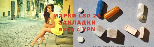 шишки Арсеньев
